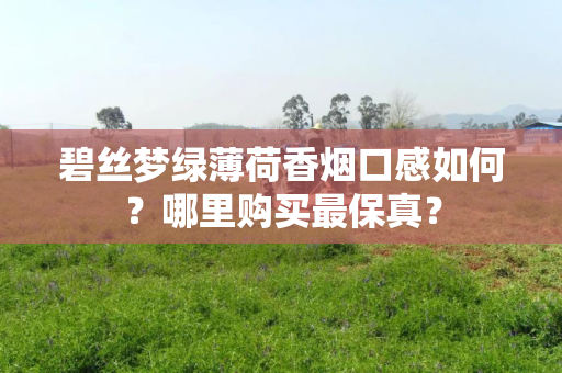 碧丝梦绿薄荷香烟口感如何？哪里购买最保真？