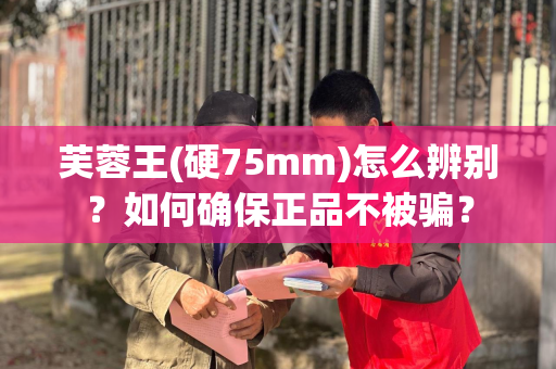芙蓉王(硬75mm)怎么辨别？如何确保正品不被骗？